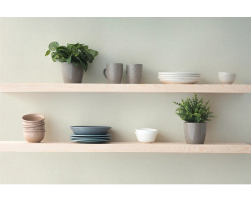 Planken met servies en potplanten