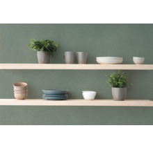 Wandplanken met servies en kamerplanten