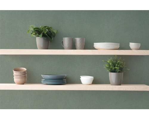 Wandplanken met servies en kamerplanten