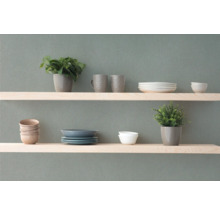 Decoratieve planken met servies en planten voor wanddecoratie