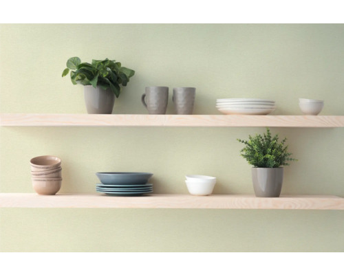 Twee planken gedecoreerd met planten, servies en mokken