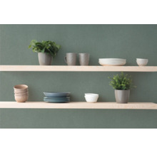 Planken met servies en planten