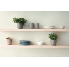 Twee planken met servies en planten.