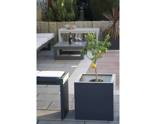 Een citroenboom in een plantenbak op een terras met tuinmeubelen.