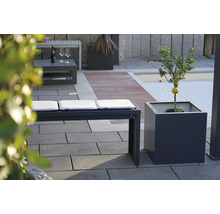 Buitenruimte met zitbank, kussens en citroenboom in pot