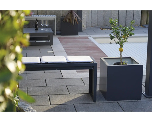 Buitenruimte met zitbank, kussens en citroenboom in pot