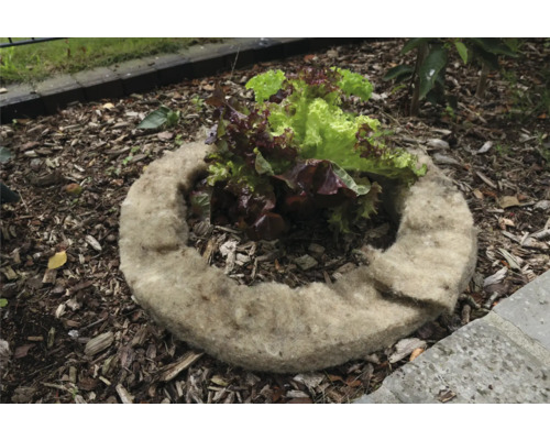 Plantenring van plantaardige vezels met slaplanten in een tuinperk