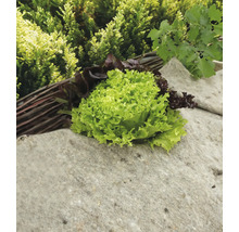 Sla en pluksla op een stenen sokkel