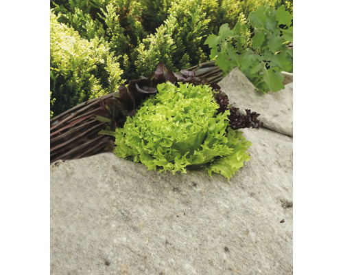 Sla en pluksla op een stenen sokkel