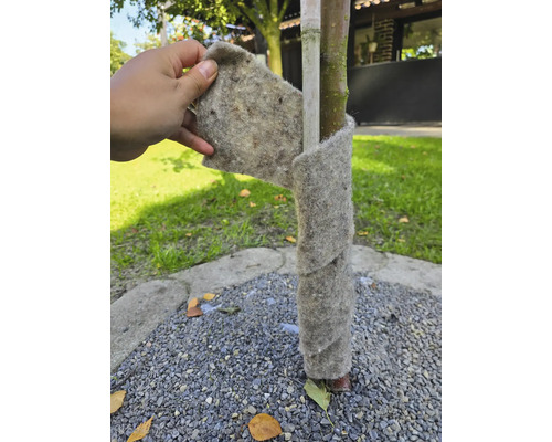 Boomstambescherming van vilt om een boom gewikkeld