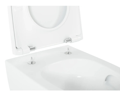 Witte wc-bril met afneembaar deksel