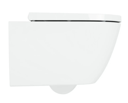 Hangend diepspoeltoilet van sanitair keramiek met toiletzitting