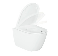 Wandcloset met diepspoeling en softclosemechanisme