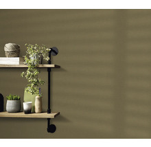 Decoratieve planken met planten en decoratieve elementen aan een muur
