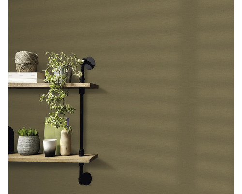 Decoratieve planken met planten en decoratieve elementen aan een muur