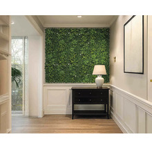 Hal met plantenwand, commode en lamp