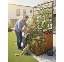 Verhoogde tuinbak met trellis, beplant met groenten, met man, kind en kat in de tuin.