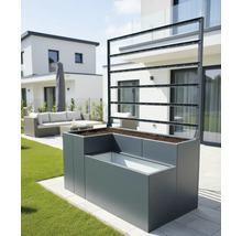 Verhoogde tuinbak met klimhulp in de tuin.