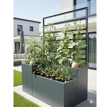 Verhoogde tuinbak met planten en klimhulp in de tuin