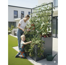 Moeder en kind oogsten groenten in een verhoogde tuinbak met klimrek in de tuin.