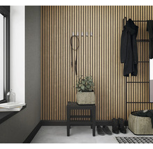 Hal met houten lambrisering, kapstok, kruk, plant en decoratie