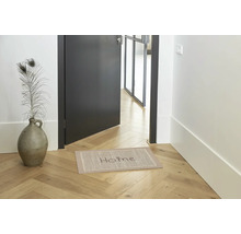 Scene met deurmat, deur en decoratie in de entree.