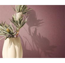 Decoratieve kamerplant in een vaas voor een gestructureerde wand