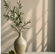 Decoratieve scène met een vaas en een olijftak op een tafel