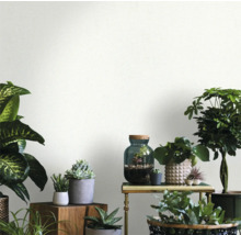 Decoratieve ambiance met verschillende kamerplanten op een tafel en houten blokken