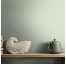 Decoratieve stilleven scène met boeken, slakkenhuis en keramische kan op een plank.