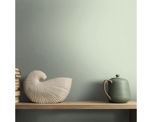 Decoratieve stilleven scène met boeken, slakkenhuis en keramische kan op een plank.