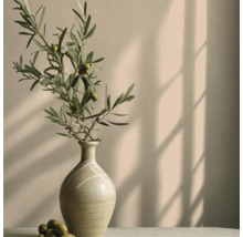 Decoratieve vaas met olijftak en olijven op een oppervlak