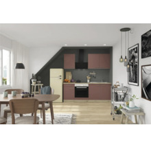 Lichte keuken met eettafel, stoelen, kitchenette en koelkast.