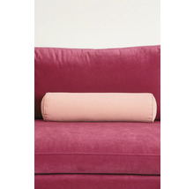 Decoratief kussen en rolkussen op de bank