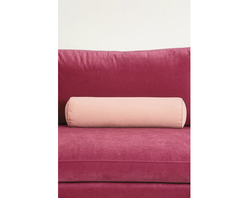 Decoratief kussen en rolkussen op de bank