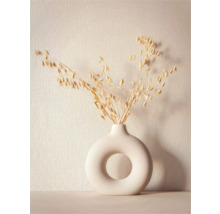 Decoratieve haver takken in een moderne donutvaas