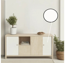 Dressoir met opbergruimte, legplank en decoratie