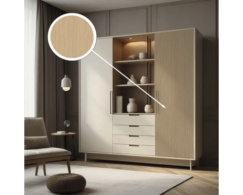 Moderne woonkamer met wandmeubel, lades en planken