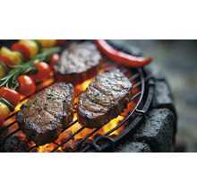 Barbecue met steaks, groenten en vuur