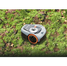 Robotmaaier op gazon