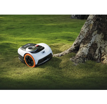 Navimow robotmaaier op een gazon naast een boom