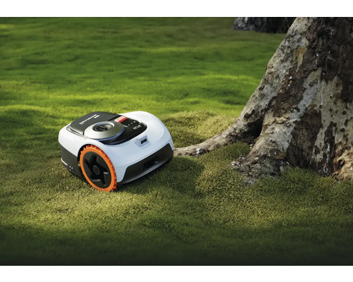 Navimow robotmaaier op een gazon naast een boom