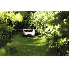 Robotmaaier in een groene tuin