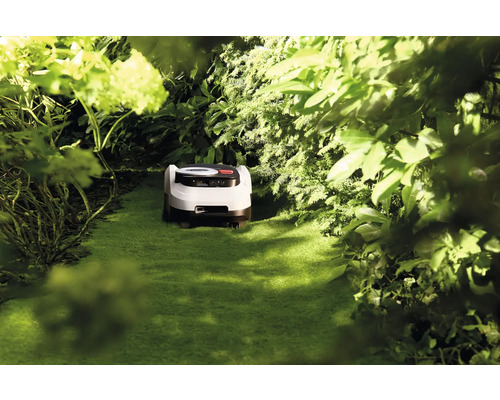 Robotmaaier in een groene tuin