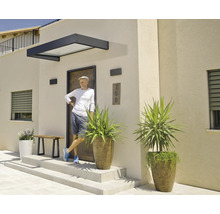 Lichte, moderne entree met een deurluifel van glas en metaal, een voordeur met houtlook en grote plantenbakken op stenen treden.