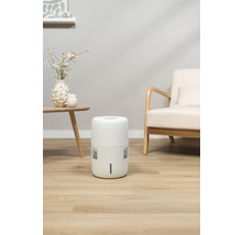 Luchtontvochtiger in woonkamer voor het verminderen van luchtvochtigheid