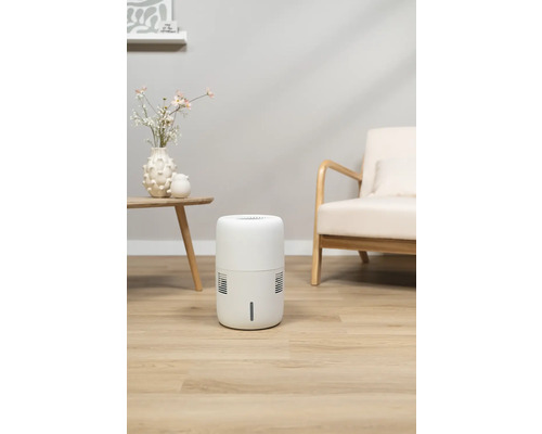 Luchtontvochtiger in woonkamer voor het verminderen van luchtvochtigheid