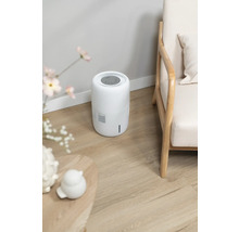 Luchtontvochtiger naast fauteuil en tafel