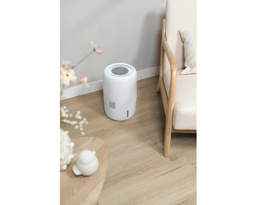 Luchtontvochtiger naast fauteuil en tafel