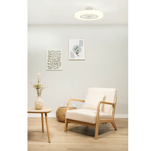 Woonkamer met plafondventilator, fauteuil en decoratie